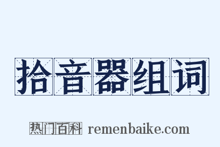 拾音器组词是什么意思的图片